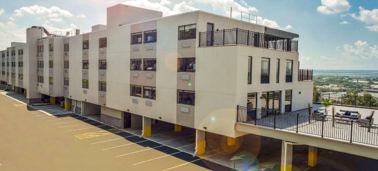 北伯根西考克斯温德姆花园酒店(Wyndham Garden North Bergen - Secaucus)图片