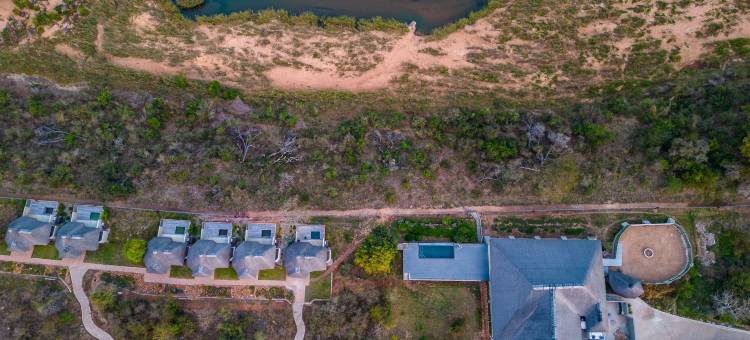 Leopard Sands, Kruger Park图片