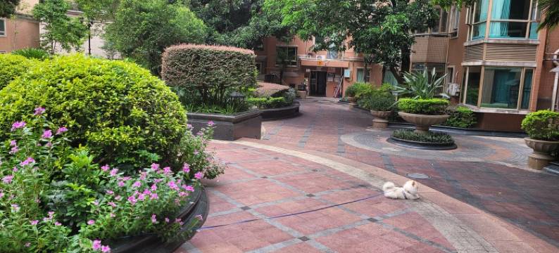 宝宝宝公寓(南光路分店)图片