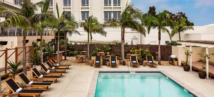洛杉矶六月酒店，设计酒店旗下(Hotel June West La, a Member of Design Hotels)图片