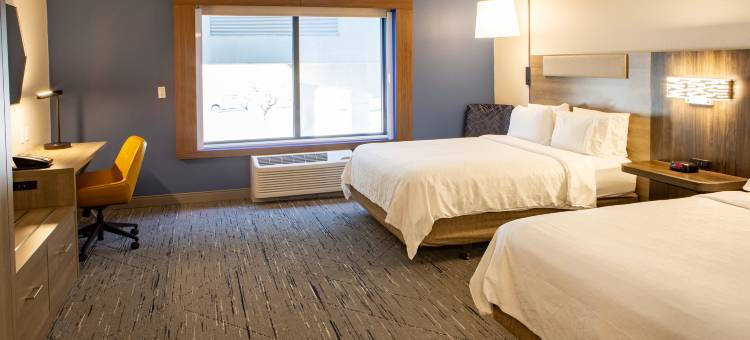 智选假日套房酒店苏城(Holiday Inn Express & Suites Sioux City - Southern Hills)图片