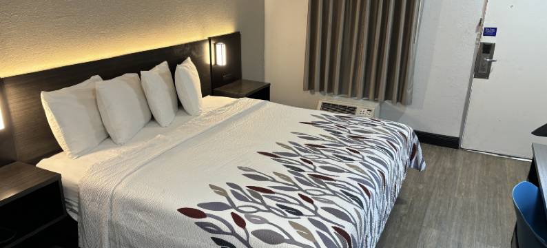 怀尔德伍德红屋顶旅馆 - 佛罗里达州村庄市(Red Roof Inn Wildwood, FL - The Villages)图片