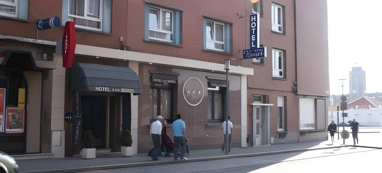 LOGIS 博雷尔酒店(Logis Hôtel Borel)图片