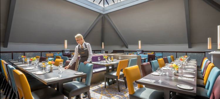 纽兰克罗斯马尔丹酒店(Maldron Hotel, Newlands Cross)图片