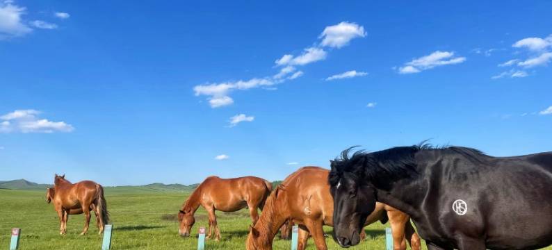 塞罕坝温馨农家院图片