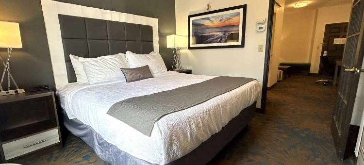 Best Western Erie Inn  Suites图片