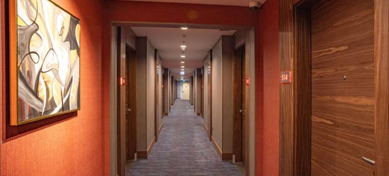 伊斯坦布尔阿里贝柯伊华美达酒店(Ramada by Wyndham Istanbul Alibeykoy)图片