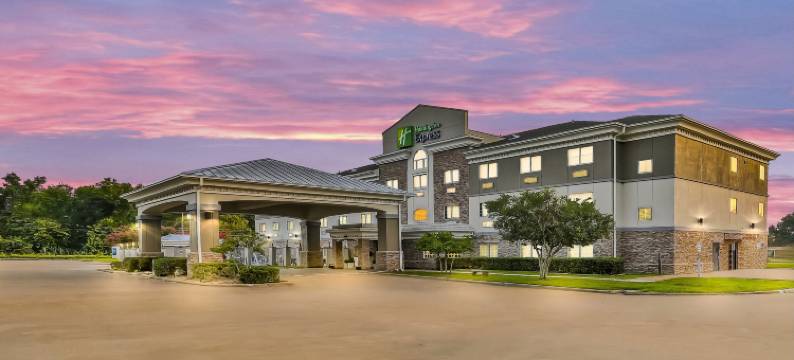 Holiday Inn Express 帕勒斯坦(Holiday Inn Express PALESTINE by IHG)图片