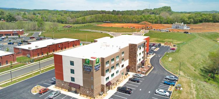 阿宾登岛智选假日套房酒店(Holiday Inn Express & Suites ABINGDON by IHG)图片