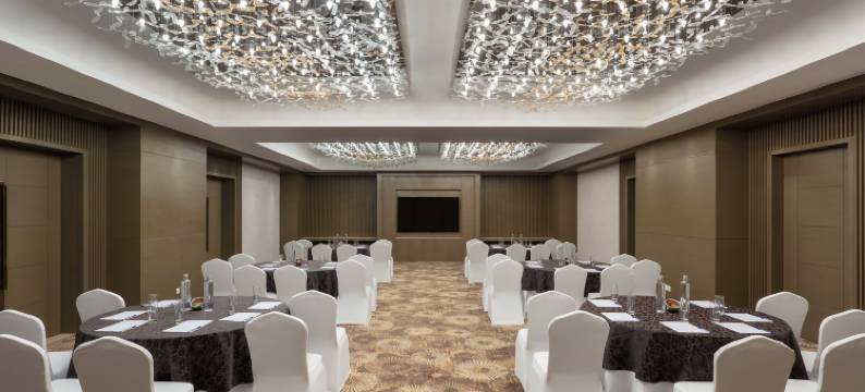 齐普尔阿梅尔希尔顿逸林酒店(DoubleTree by Hilton Jaipur Amer)图片
