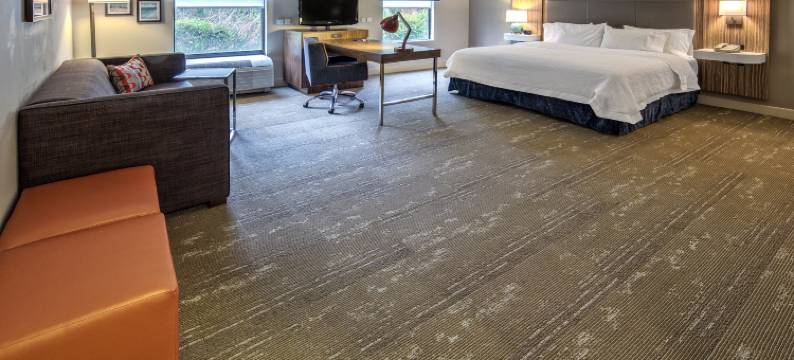 埃斯特罗迈尔斯堡欢朋酒店及套房(Hampton Inn & Suites Fort Myers-Estero/FGCU)图片