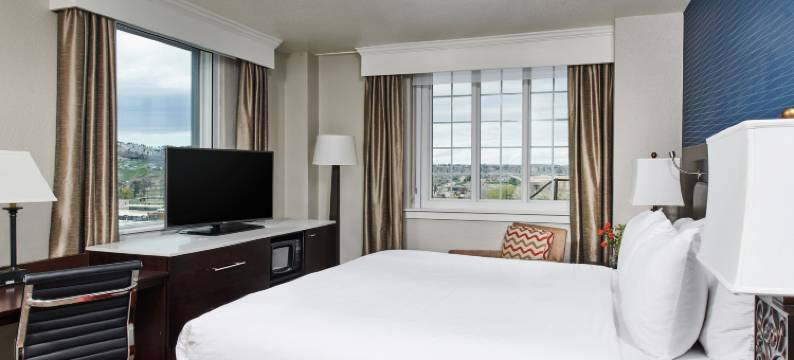 拉皮德城亚历克斯约翰逊希尔顿格芮精选酒店(Hotel Alex Johnson Rapid City, Curio Collection by Hilton)图片