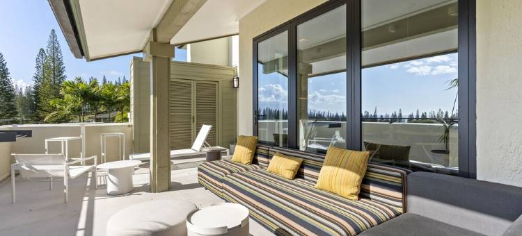 Walk to Kapalua Bay Beach, New 3Br & 4BA Bespoke Golf Villa, Ocean & Golf Views图片