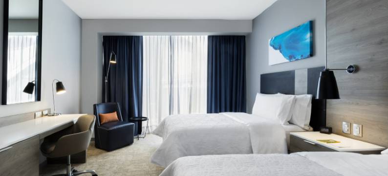 墨西哥城圣达菲希尔顿花园酒店(Hilton Garden Inn Mexico City Santa Fe)图片