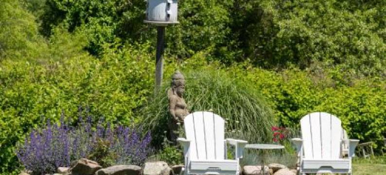 老城旅馆(Old Town Inn)图片