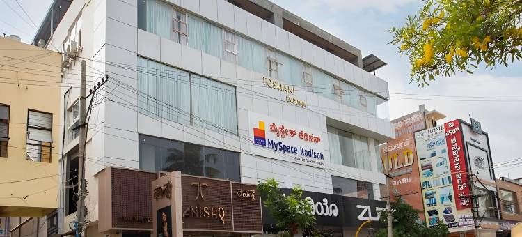 我的空间卡迪森(MySpace Kadison)图片