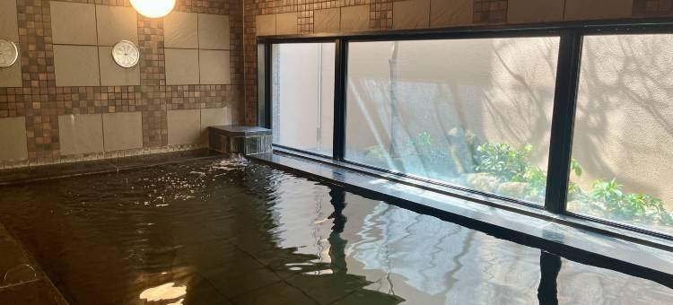 露樱酒店太田南-国道407号出口店(Hotel Route-Inn Ota Minami -Kokudo 407 Gou-)图片