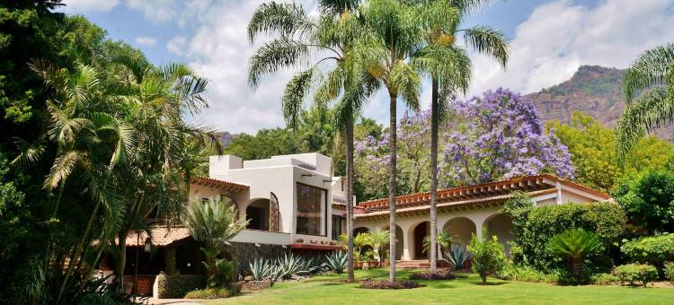 艾莫莫克特里酒店(Amomoxtli)图片