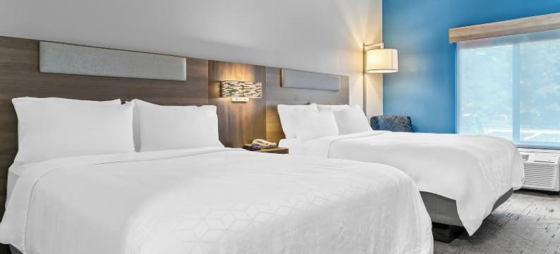 底特律北罗斯维尔智选假日套房酒店(Holiday Inn Express & Suites DETROIT NORTH - ROSEVILLE by IHG)图片