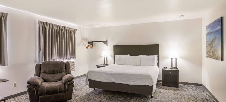 布尔什瑞昂美洲最佳价值酒店(Americas Best Value Inn Birch Run)图片