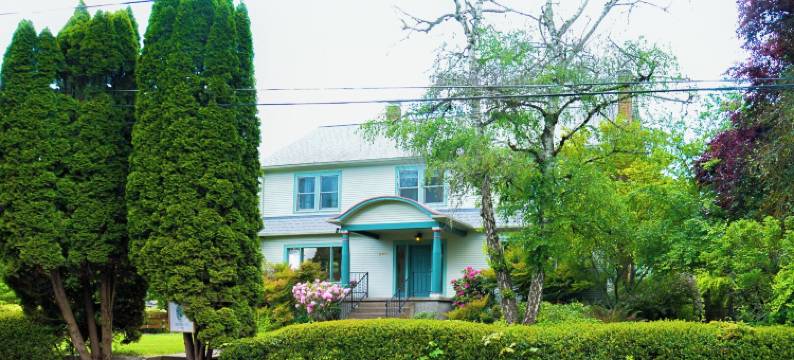 250号北亚当斯街(250 N Adams St)图片