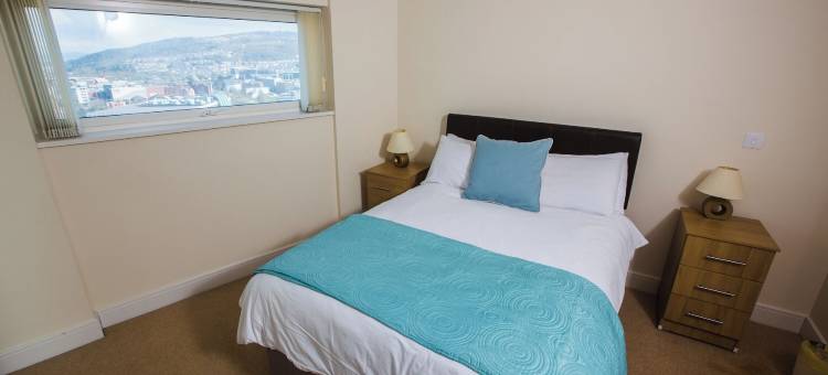 全景视图(Panoramic View)图片