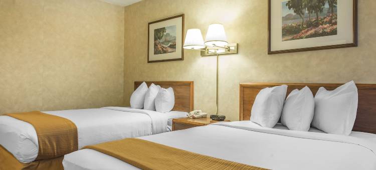 凯艺会议中心酒店(Quality Inn and Conference Center)图片