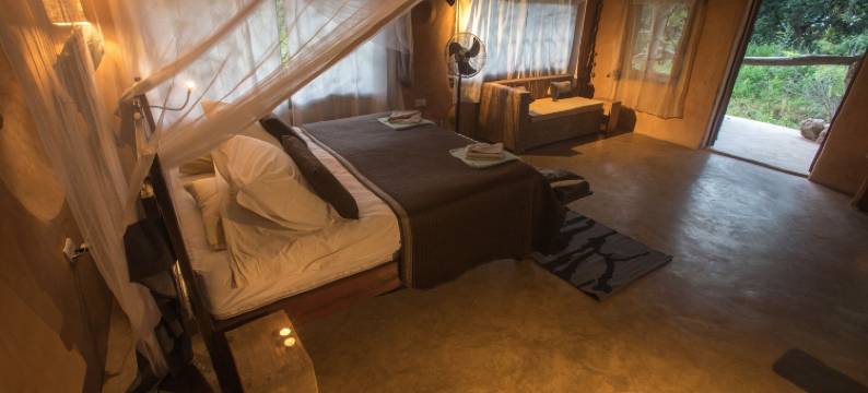 追寻河岸露营区(Track and Trail River Camp)图片