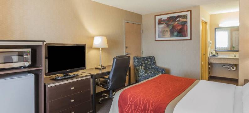 海湾舒适酒店(Comfort Inn on the Bay)图片