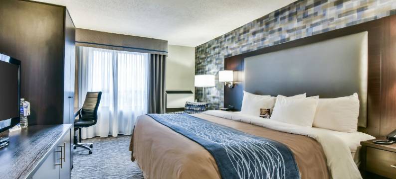 机场北舒适酒店(Comfort Hotel Airport North)图片