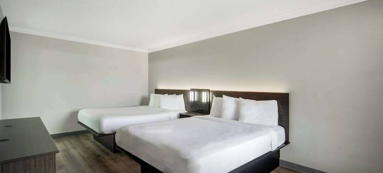 德克萨斯圣安东尼奥 - I-35 北走廊 6 号汽车旅馆(Motel 6 San Antonio, TX – I-35 North Corridor)图片