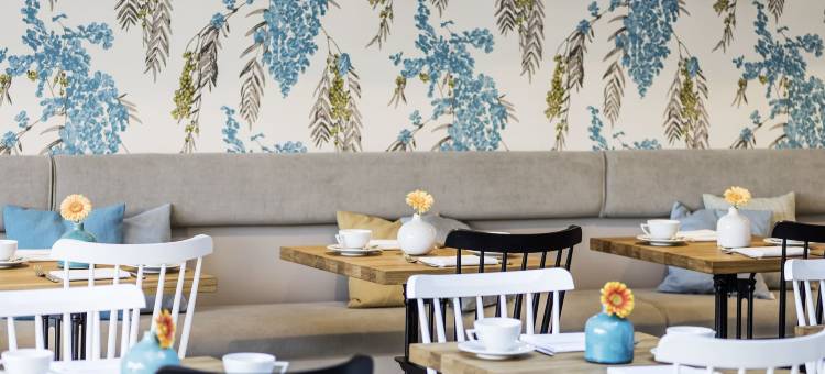 斯特朗兰舒普酒店(Strandhaus Ahrenshoop)图片