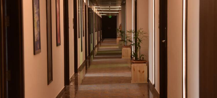 西姆拉兰花酒店(The Orchid Hotel Shimla)图片