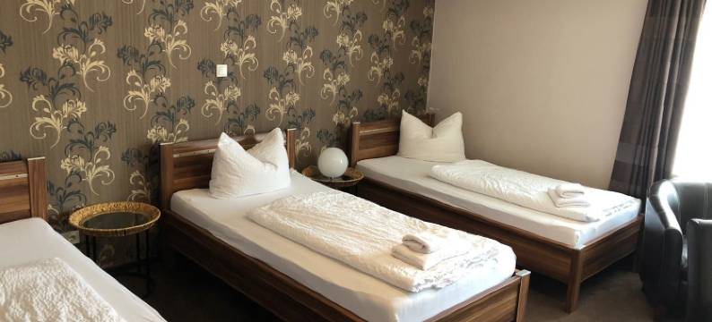 因格施塔特腓特烈港绿色公寓寄宿式酒店(Greenpartment Ingolstadt - Friedrichshofen)图片