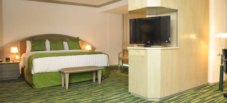 墨西哥城帕拉伊索丽笙酒店(Radisson Paraiso Hotel Mexico City)图片