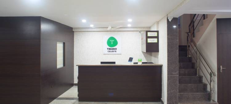 Treebo Celeste树博酒店(Treebo Celeste)图片