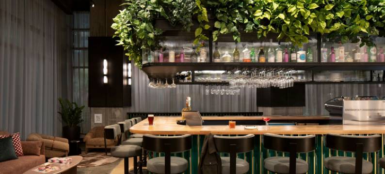 蒙特利尔市中心新Moxy酒店(Moxy Montreal Downtown)图片