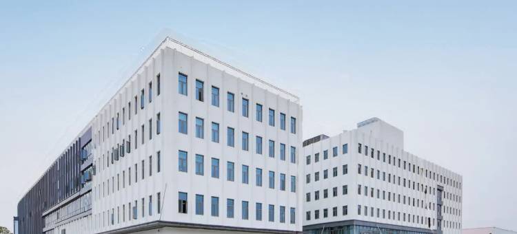 南京南站胜太西路亚朵酒店图片