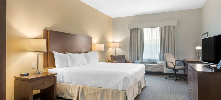 利物浦贝斯特韦斯特优质酒店及会议中心(Best Western Plus Liverpool Hotel  Conference Centre)图片