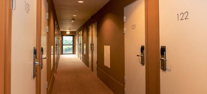 佛勒斯时尚酒店(Smarthotel Forus)图片