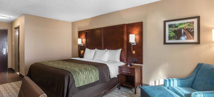 湾城舒适酒店 - 河滨(Comfort Inn Bay City - Riverfront)图片