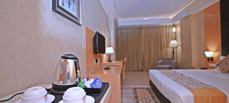 宾迪拉姆施瑞格酒店(Bindiram Express by ShriGo Hotels)图片