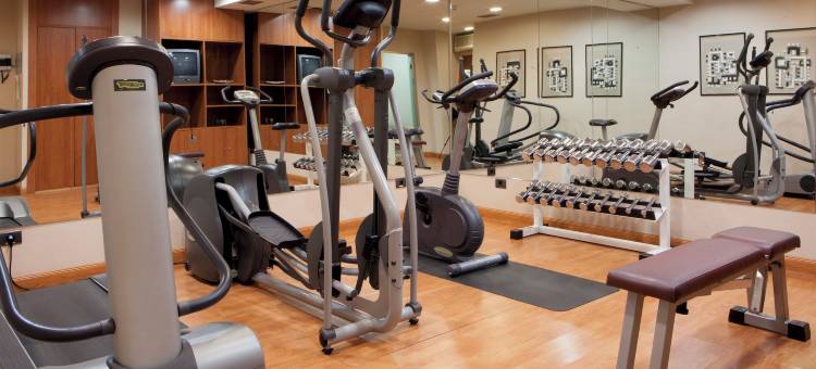 塞尔科蒂尔AB阿尔甘达酒店(Sercotel AB Arganda)图片