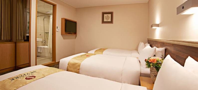 天空花园酒店明洞1号店(Hotel Skypark Myeongdong 1)图片