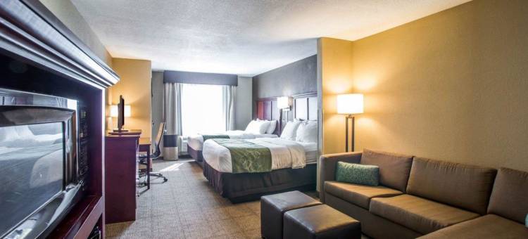 舒适套房酒店-哥伦比亚大学城(Comfort Suites Columbia - University Area)图片