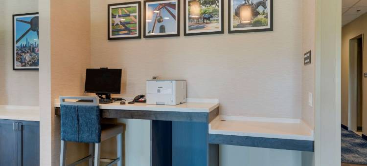 舒适酒店及套房巴尔奇斯普林斯 - 达拉斯东南(Comfort Inn & Suites Balch Springs - SE Dallas)图片