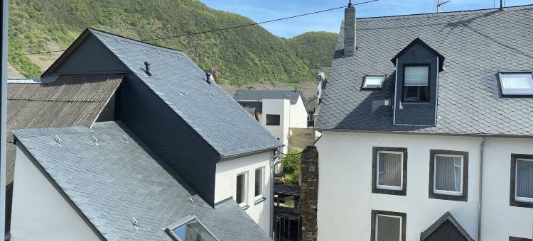莫塞尔泰尔恩斯特科赫姆酒店(Moseltel Ernst,Cochem)图片