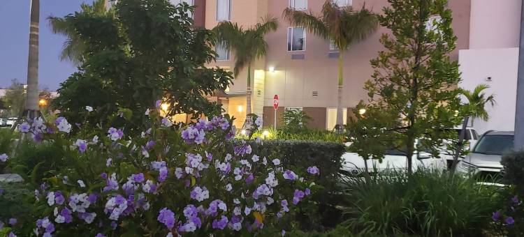 迈阿密肯德尔西TownePlace套房酒店(TownePlace Suites Miami Kendall West)图片