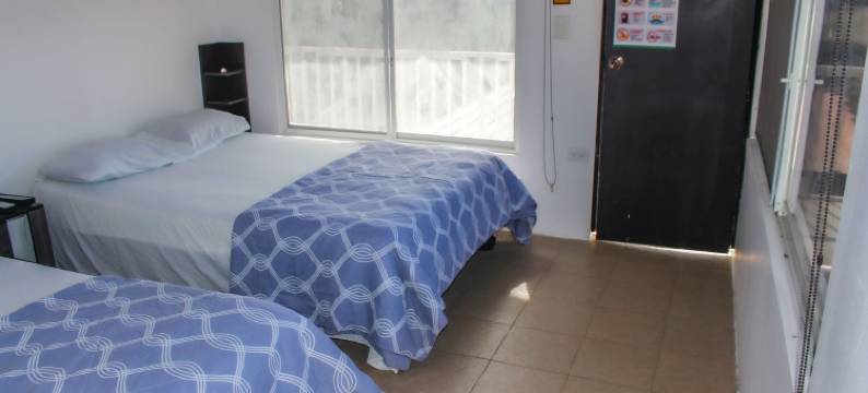 苏雅青年旅舍(Soga Hostal)图片