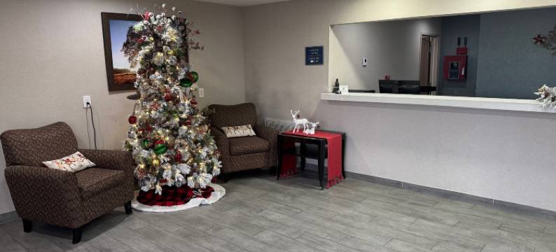 呗盟艾奥瓦莱克查尔斯酒店(Baymont by Wyndham Iowa Lake Charles)图片